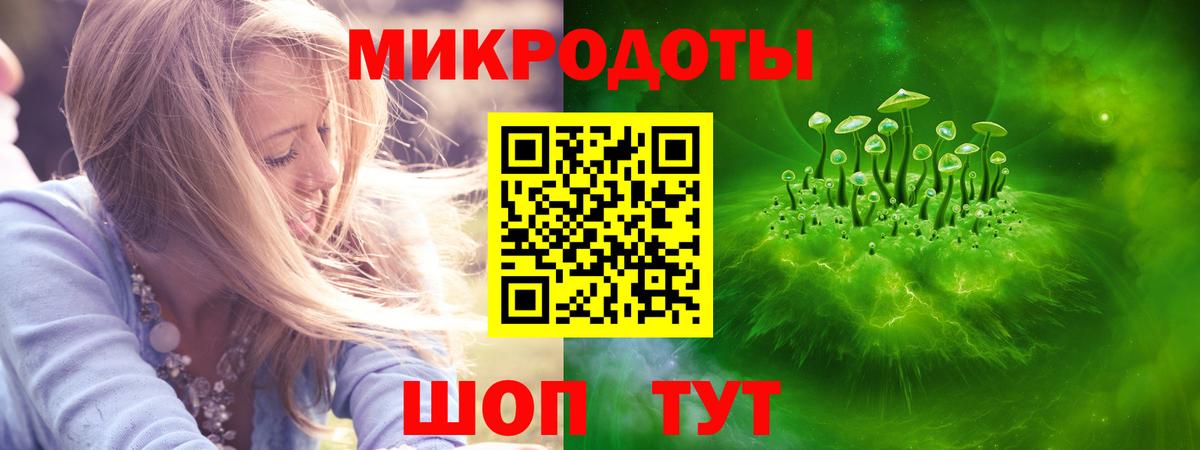 Псилоцибиновые грибы мицелий Сосновый Бор